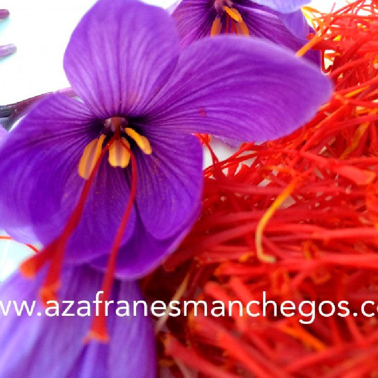 Información nutricional del azafrán