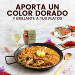 Azafrán Selecto Al-Júcar en Orza Artesana 1 g