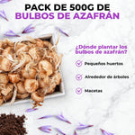 Bulbos de azafrán Bolsa 500 gr - AGOTADOS