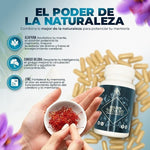 Pack 3 meses Cápsulas para la memoria